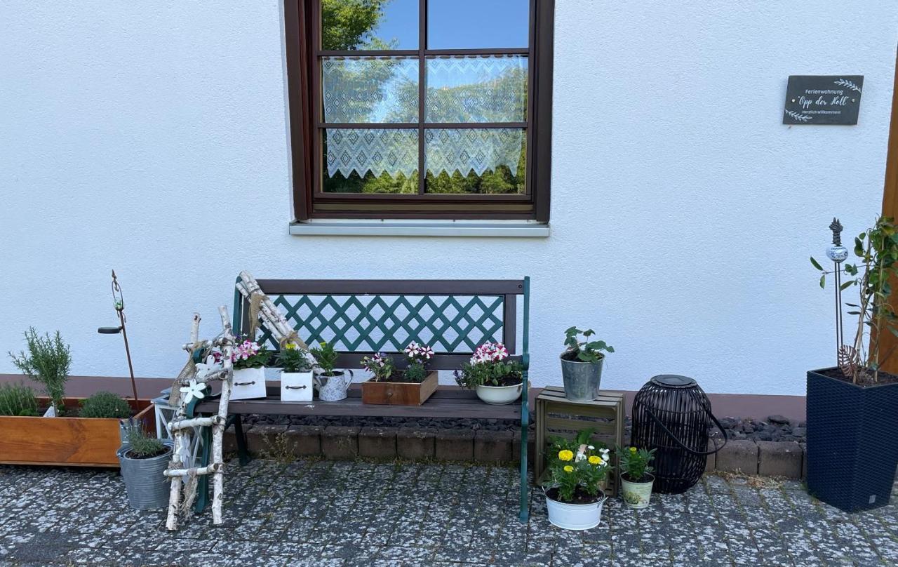 Ferienwohnung In Der Vulkaneifel "Opp Der Holl" Brockscheid Exterior foto
